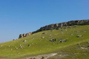 A picturesque view of the green steppe hills, pastures stretching into the distance. photo