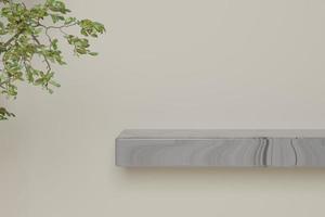shelf display with leaves 3d render photo