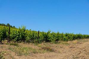 Rain clouds over mountains and a valley with a green vineyard. photo