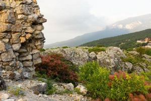 Gray wild rocks and wild green forest. View from above. Landscape. photo