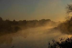 Foggy morning on a European river with fresh green grass in the sun. The rays of the sun through the tree. photo