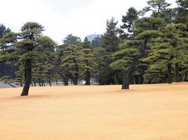 View of Tokyo skyline from the outer imperial palace gardens photo