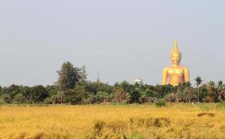 Buddha statue, Wat muang in Thailand photo