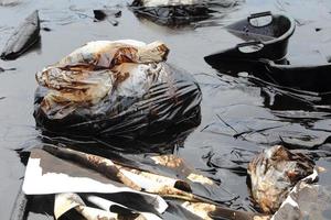 Water pollution - old garbage and oil photo