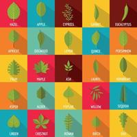 Leaf icons set, flat style vector