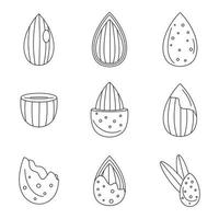 Almond walnut oil seed icons set outline style vector