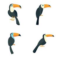 conjunto de iconos de pájaro loro tucán, estilo plano vector