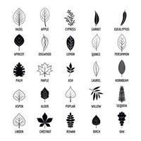 Leaf icons set, simple style vector