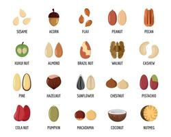 Nut types with signed names icons set, flat style vector