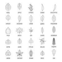 Leaf icons set, outline style vector