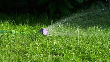 Watering the lawn manual garden sprinkler video