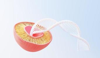 3d render cell membrane Phospholipid Bilayer. Layers of molecules. Gene expression. nucleotide database. Fluid mosaic model for education. Human gene. Plasma membrane structures. photo