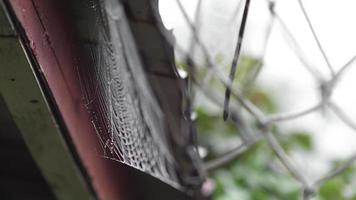 Close up view of spider web covered with drops of moist attached to a basketball net.