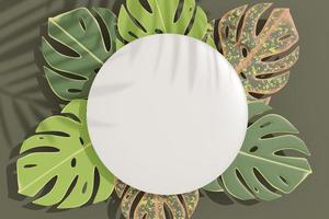 3d render top view of white blank cylinder frame for mock up and display products with shadows of palm and Monstera leaves. Creative idea concept. Green natural background. photo