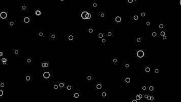Seifenblasen fliegen auf schwarzem Hintergrund. schöne, nahtlos geloopte 3D-Animation. video