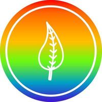 natural leaf circular in rainbow spectrum vector