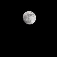 Moon Timelapse, Stock time lapse Full moon rise in dark nature sky, night time. Full moon disk time lapse with moon light up in night dark black sky. High-quality free video footage or timelapse photo