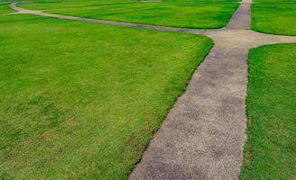 Green grass field with line pattern texture background and walkway photo