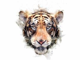 The tiger animation. Watercolor style.
