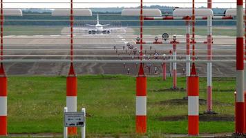 freinage de l'avion après l'atterrissage à dusseldorf. Lièvre d'Europe -Lepus europaeus- près de la piste. video