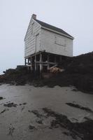 Foggy pier view photo