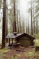 Wood cabin in the woods photo