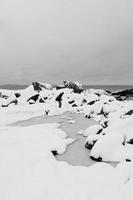 Winter on the beach photo