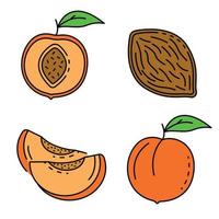 Peach icons set line color vector