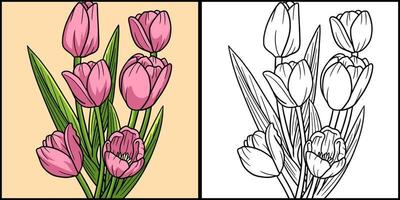 Tulip Flower Coloring Page Colored Illustration vector