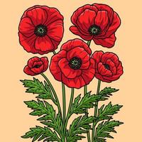 Corn Poppy Flower Colored Cartoon Illustration vector