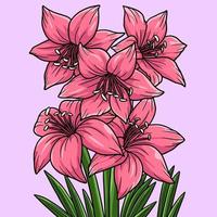 Amaryllis Flower Colored Cartoon Illustration vector