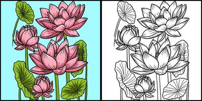 Lotus Flower Coloring Page Colored Illustration vector