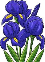 Irises Flower Cartoon Colored Clipart Illustration vector