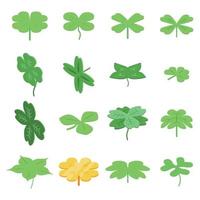 Clover icons set, isometric style vector