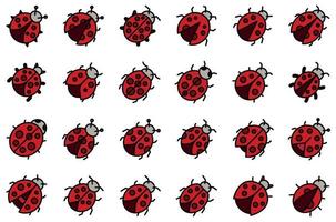 Insect ladybird icons set line color vector