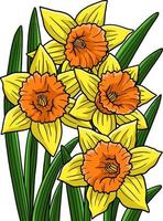 Daffodil Flower Cartoon Colored Clipart vector