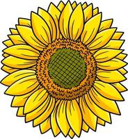 Sunflower Flower Cartoon Colored Clipart