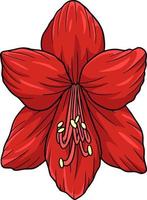 Amaryllis Flower Cartoon Colored Clipart vector
