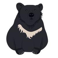 Himalayan bear vector stock illustration. A wild animal. Sits. isolated on a white background.