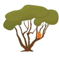 A monkey is sitting on a tropical tree. Jungles. Vector stock illustration. Isolated on a white background.