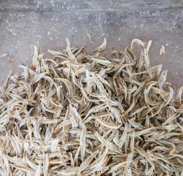 pescado seco pequeño. foto