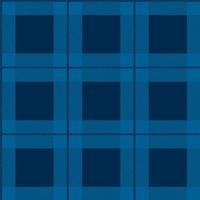 Plaid pattern seamless repeat print vector