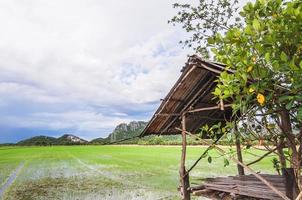 Green paddy filed with temporary bamboo kiosk and blue sky landscape in Thailand photo