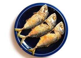 Fried Mackerel on dish ready to be served over white background photo