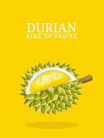 Vector illustration, floating durian fruit, isolated on yellow background, perfect for book covers, product labels or posters.