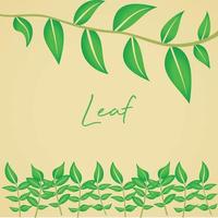 Leaf and Green Nature earth vector