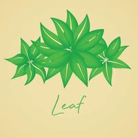 Leaf and Green World Nature vector