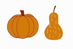 autumn pumpkin vegetables vector