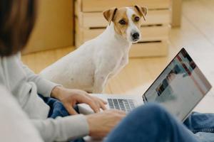 Unrecognizable man works on laptop comuter, keyboards and surfs internet webpage, sits on floor near carton boxes, searches new apartment to rent, lovely dog sits near, looks staightly at camera photo