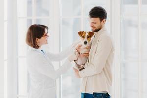 Sideways shot of veterinary woman going to examine sick dog. Jack russell terrier dog and his owner come to vet clinic, need help to cure disease, stand against window. Taking care of animals photo